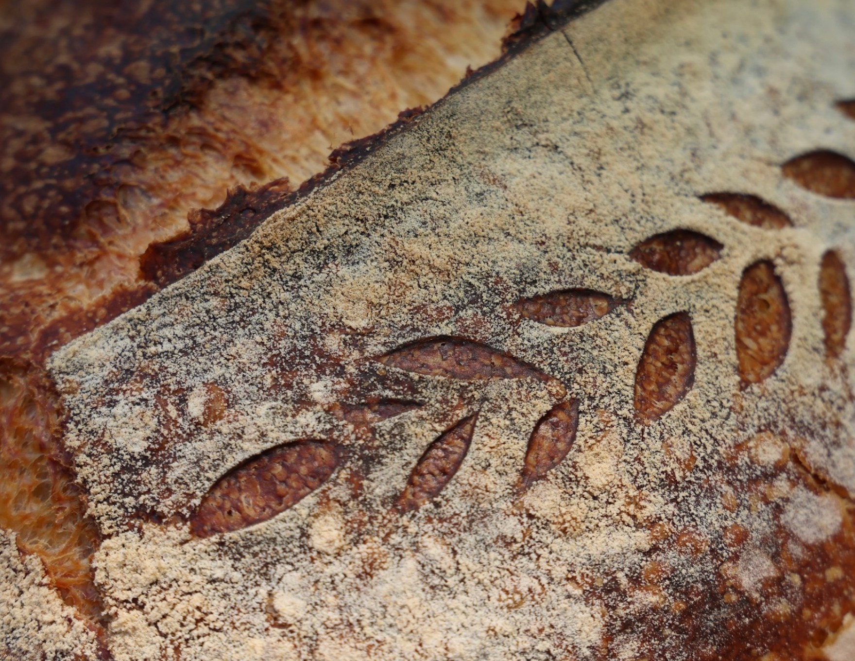 Manu’s Artisan Breads — presentation spread 14 of 33