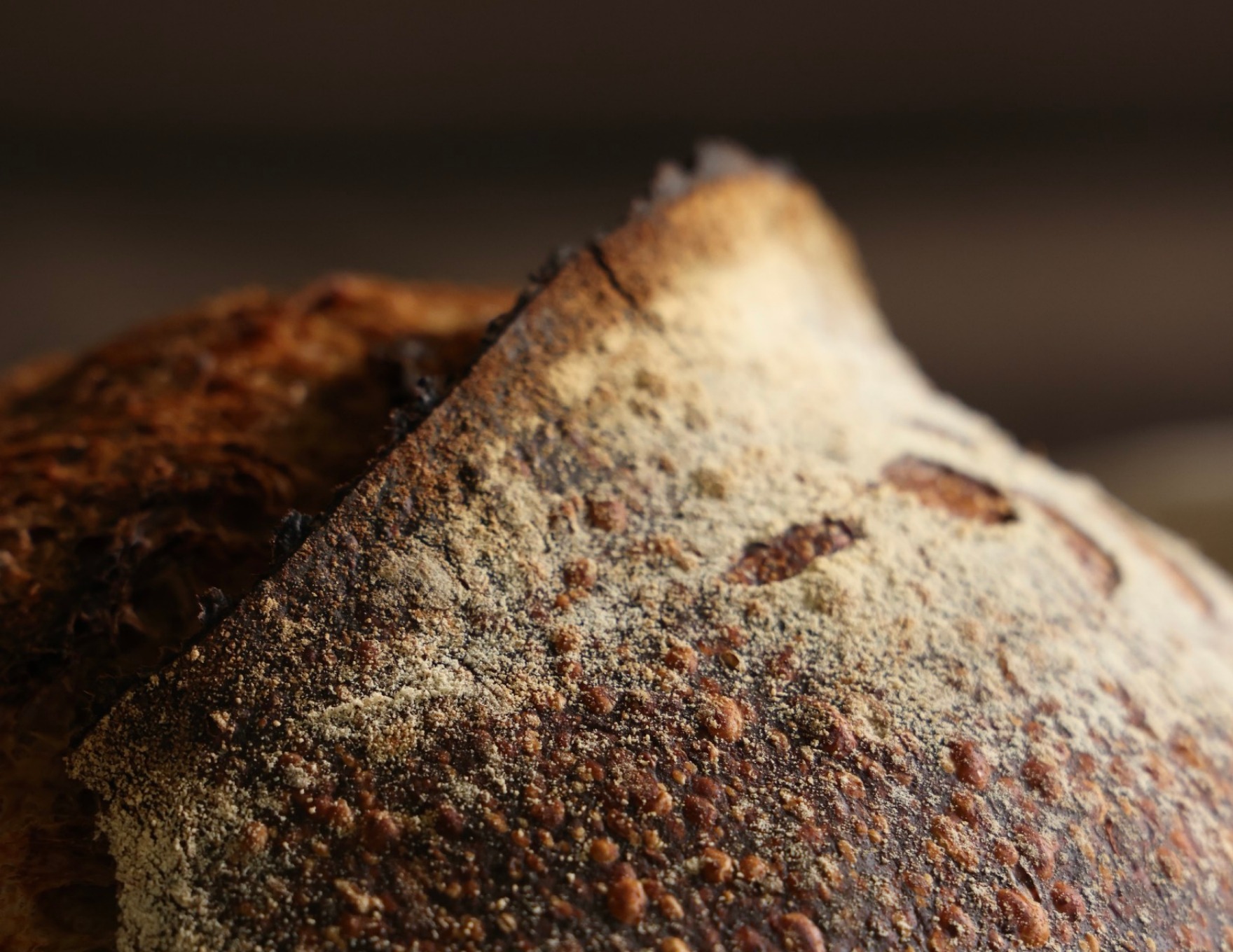 Manu’s Artisan Breads — presentation spread 28 of 33